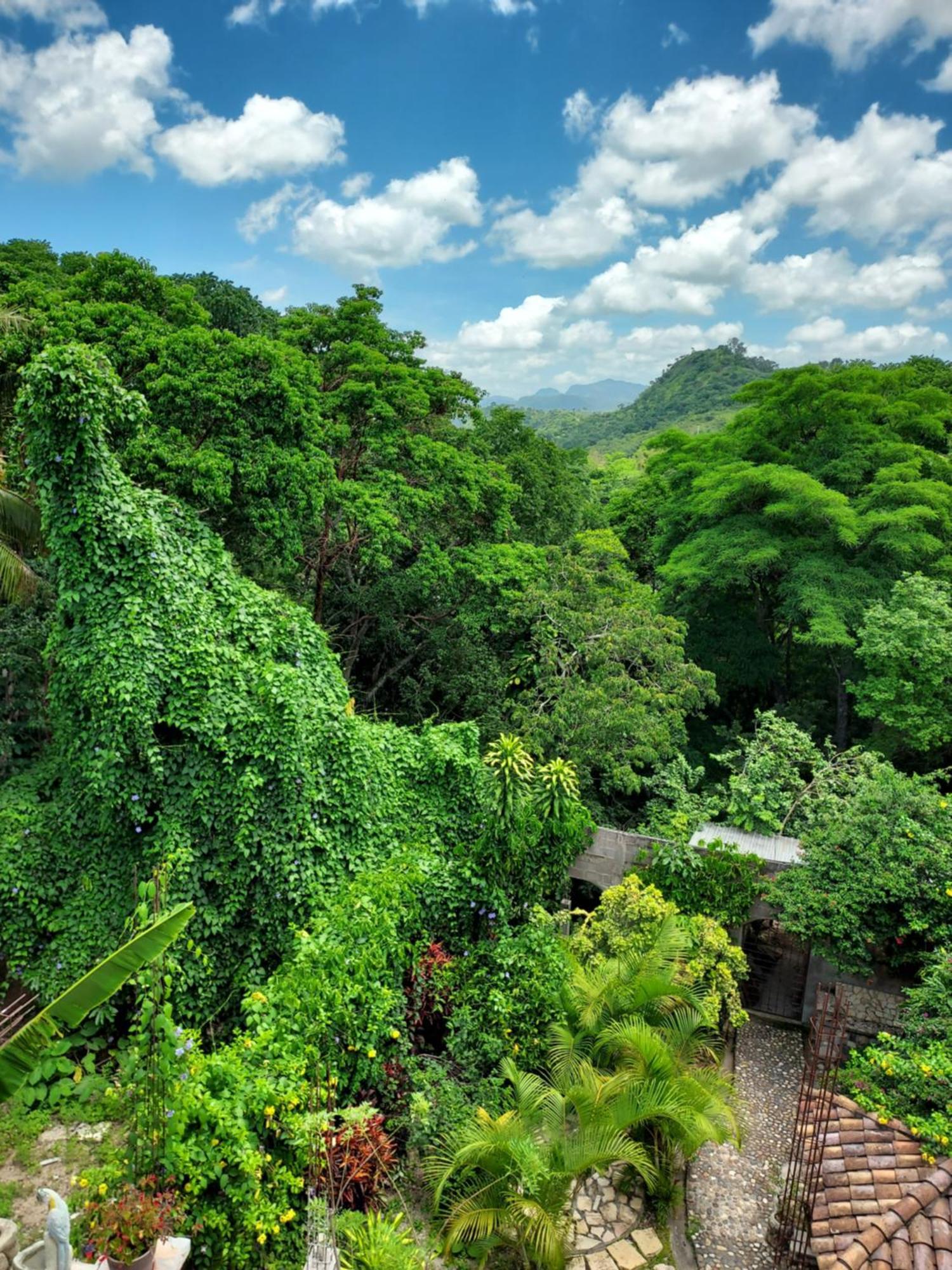 Hotel La Escalinata Copan ภายนอก รูปภาพ